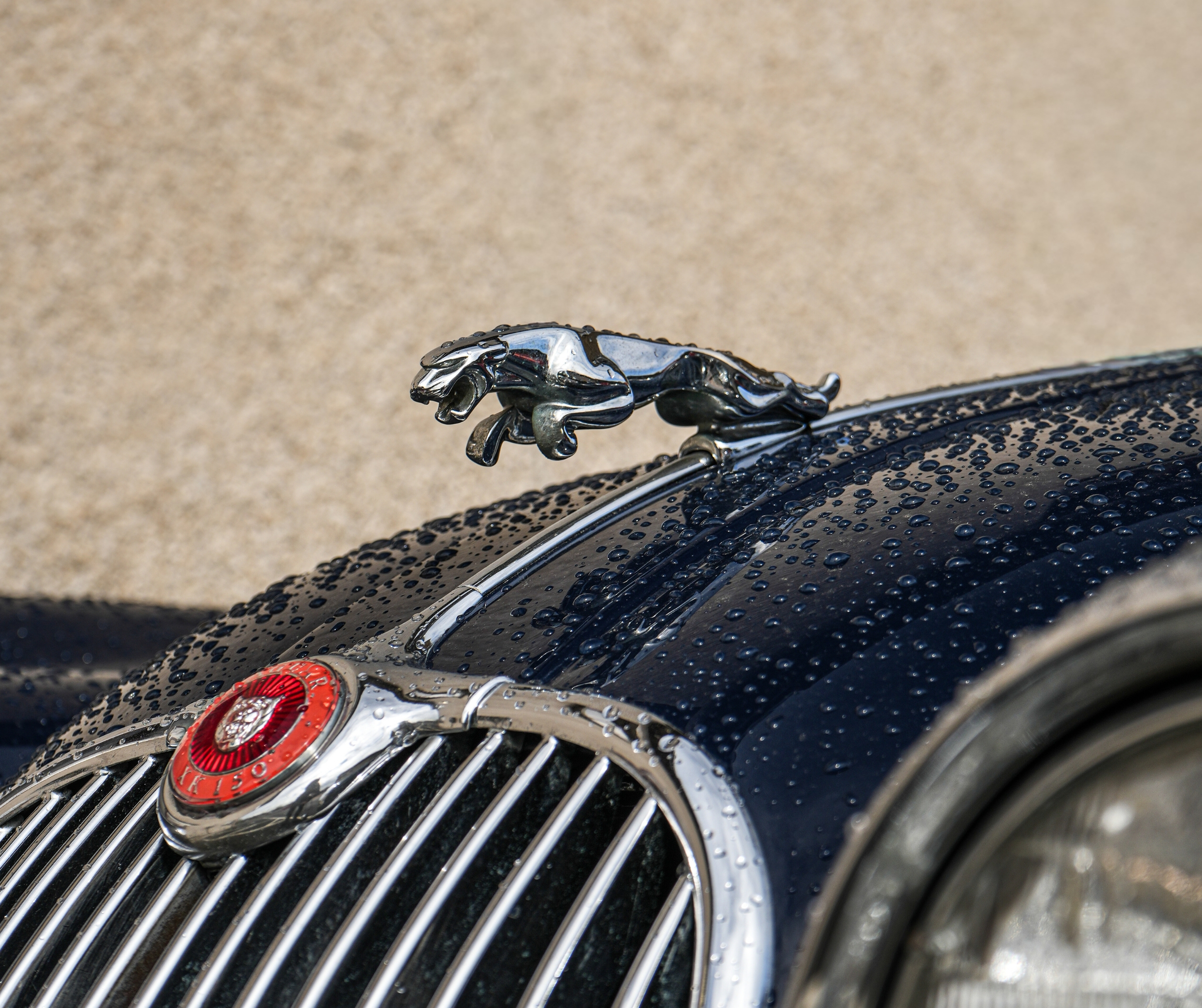 Not just Jaguar repairs